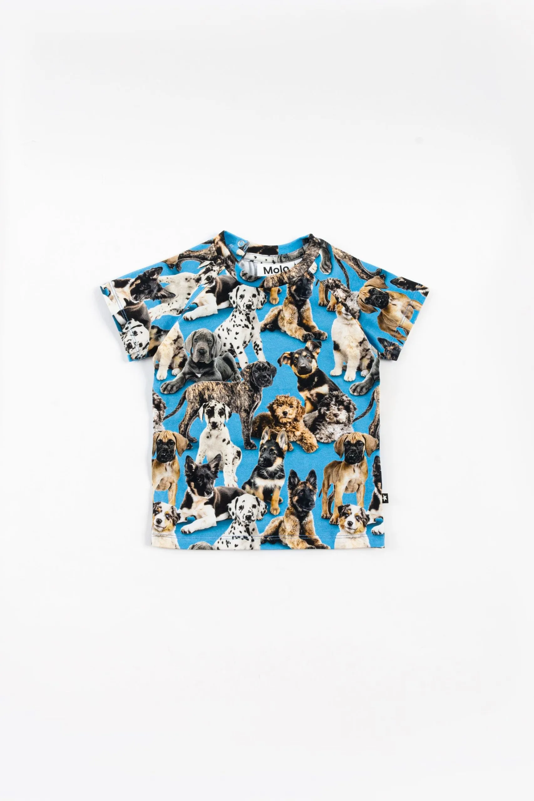 T-SHIRT CON STAMPA CANI ALL-OVER