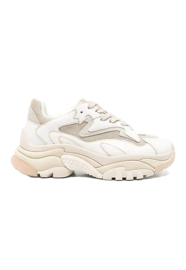 Ash - Sneakers Addict