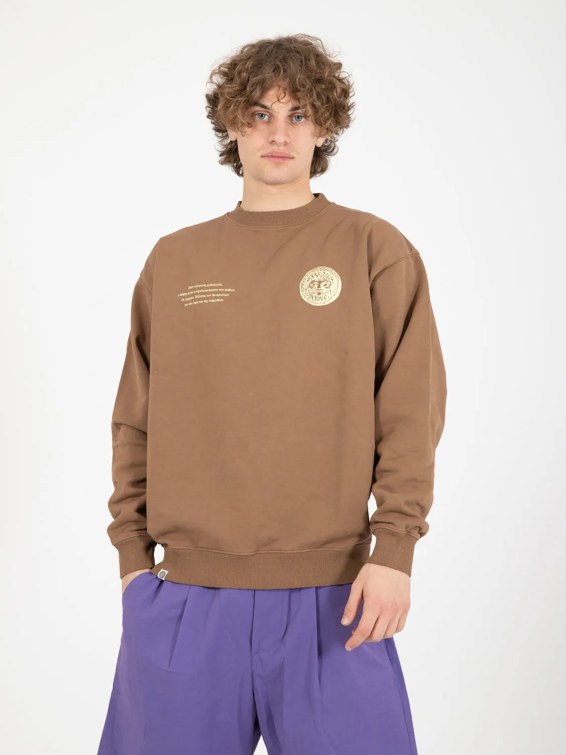 Felpa Girocollo Samuel Phobos brown