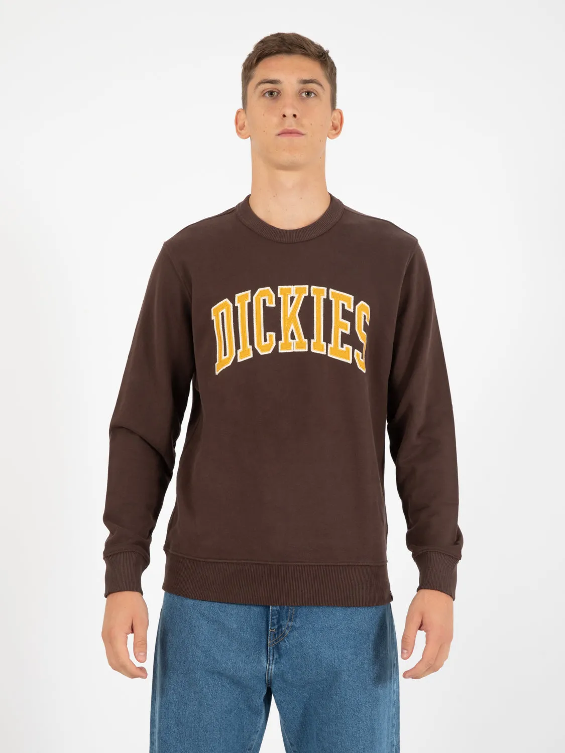 Felpa Aitikin girocollo java