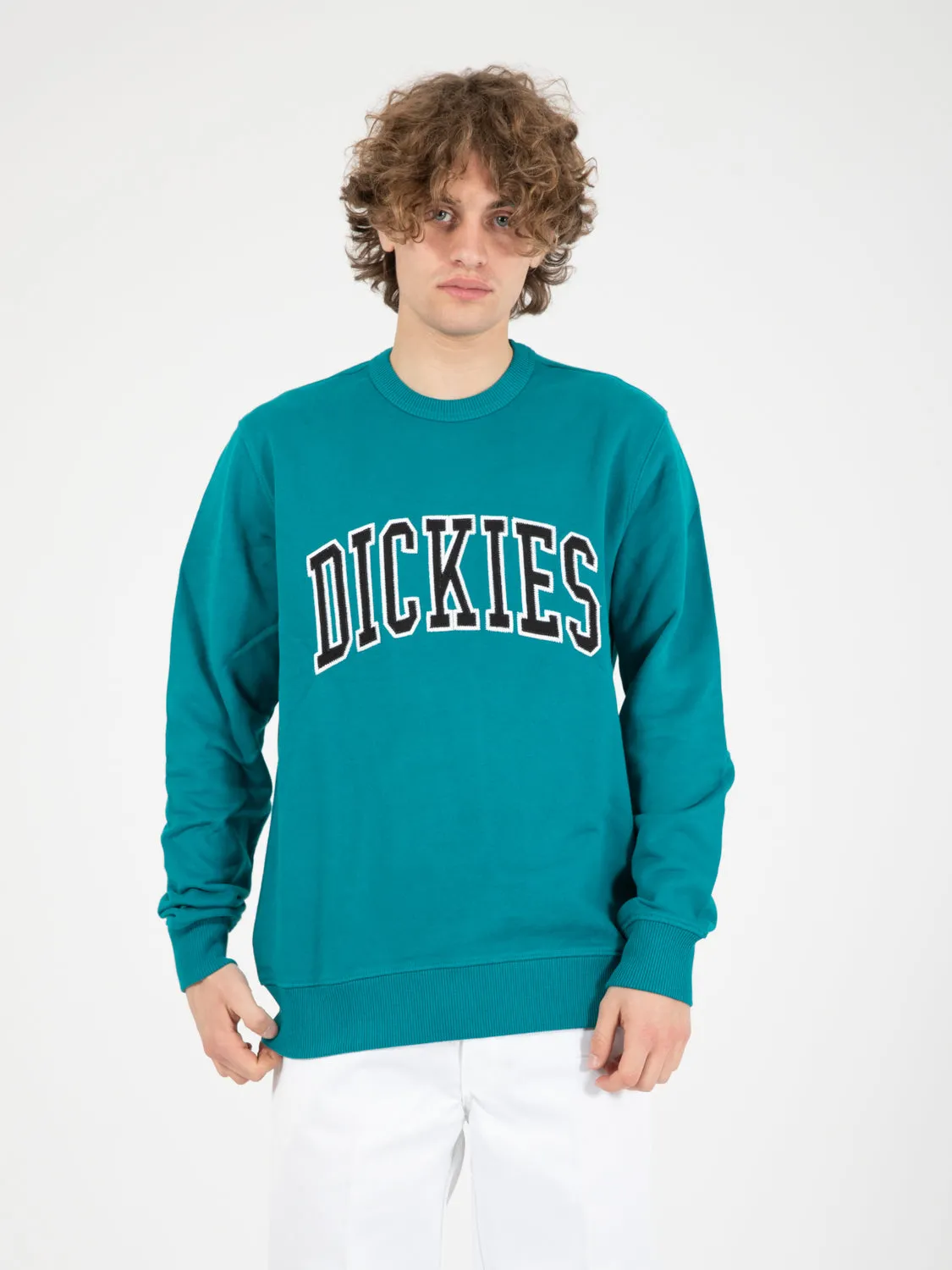 Felpa Aitkin deep lake