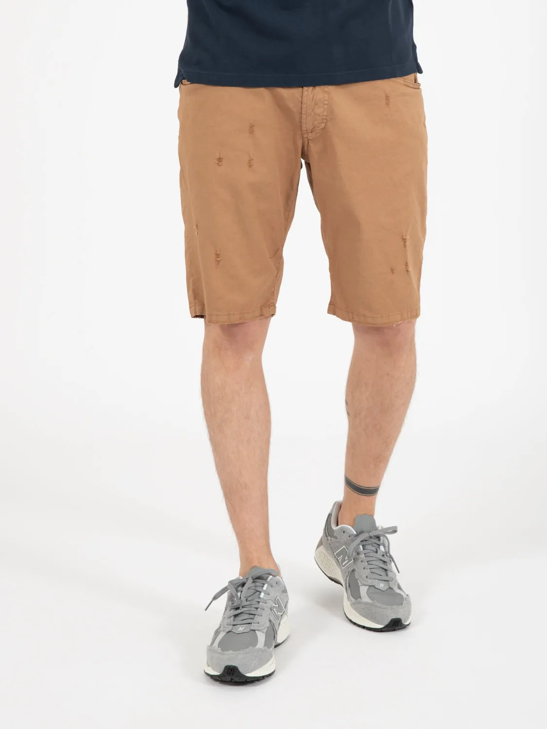 Bermuda Cayman safari