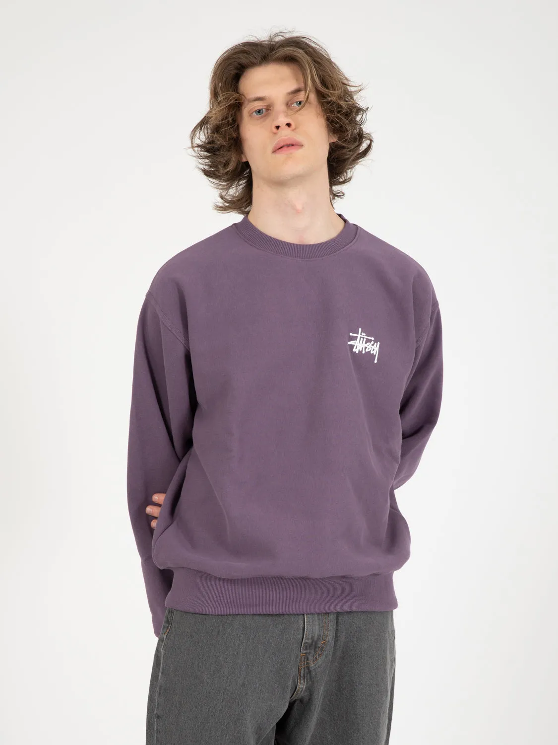 Basic Stussy Crew grape