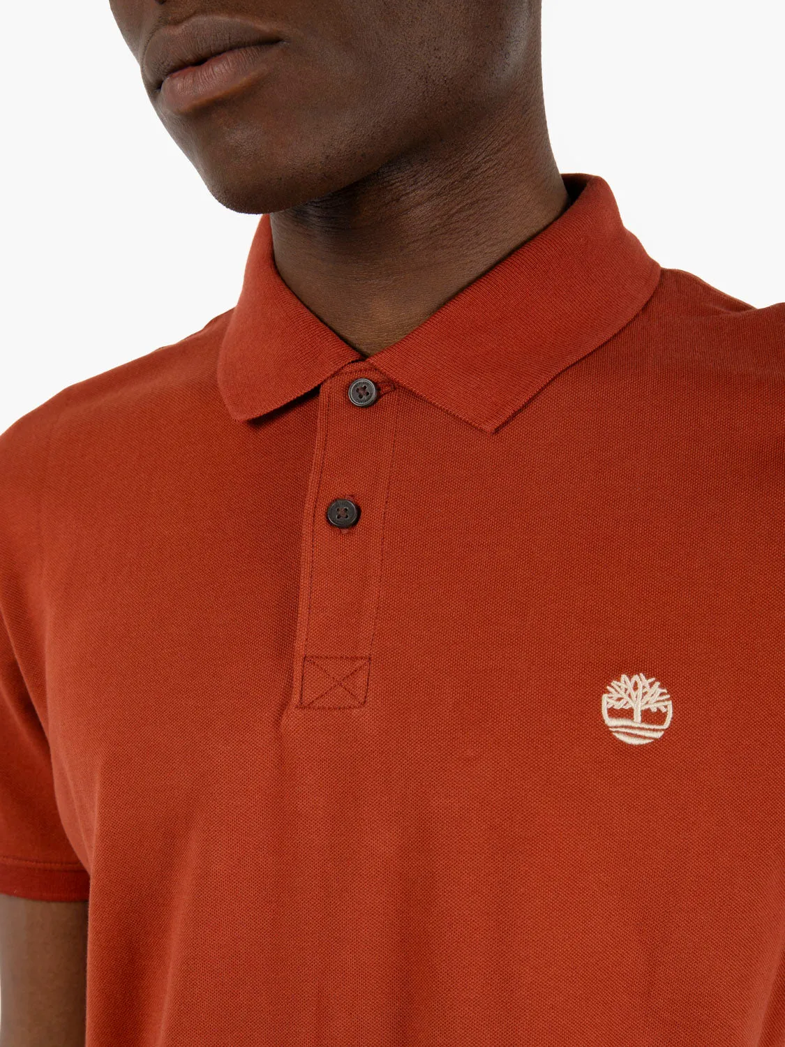 Polo Millers river SS burnt